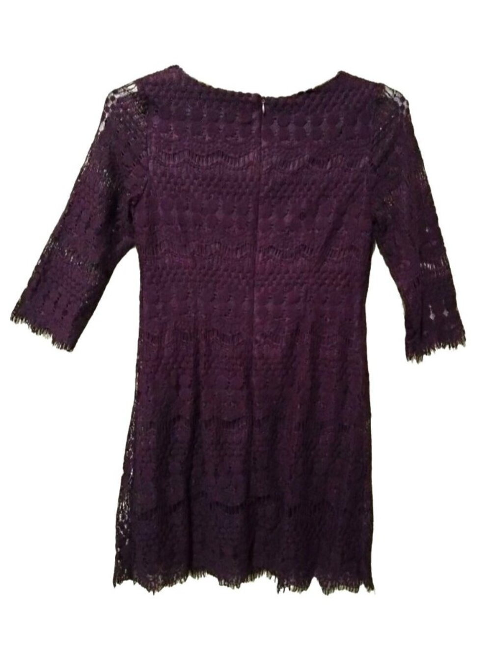 Ronni Nicole Size 8P Dress Purple Lace Fully Lined Scalloped Hem Back Zipper - Picture 4 of 8